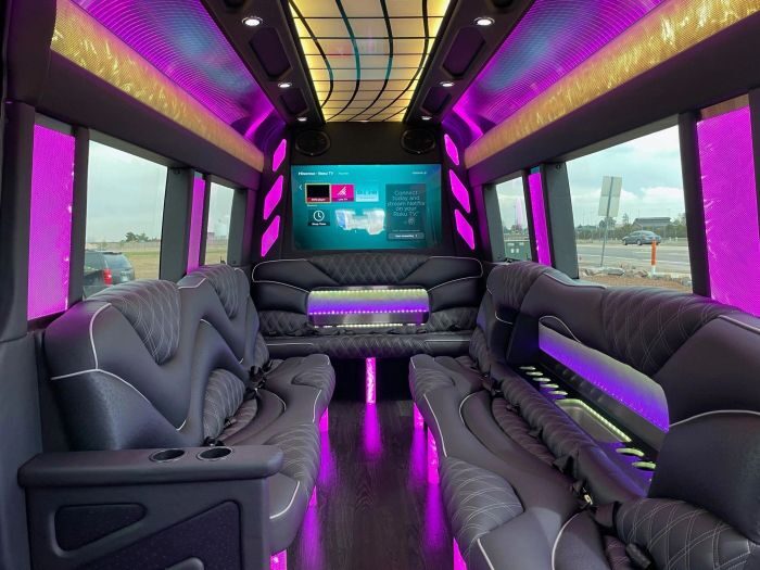 Sprinter limo lounge with TV – Parker party bus rental