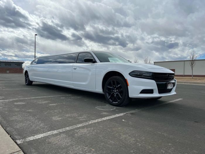 White stretch limo – Parker party bus rental